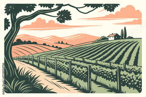 Vineyard landscape with house and sunset sky rural