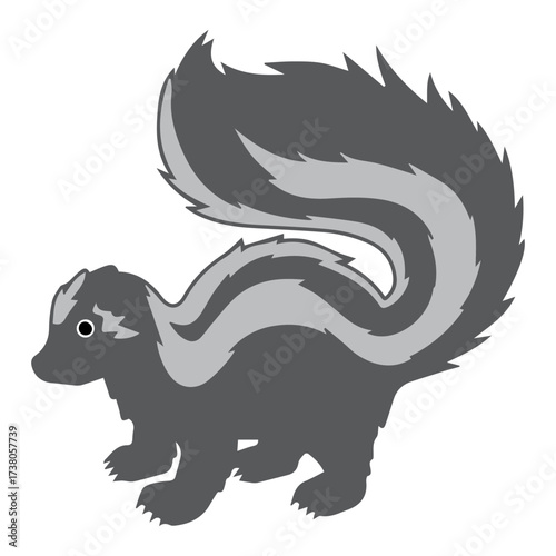 Striped Skunk Illustration