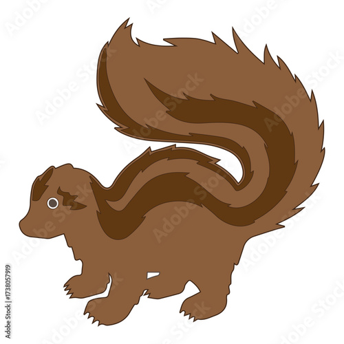 Skunk Illustration