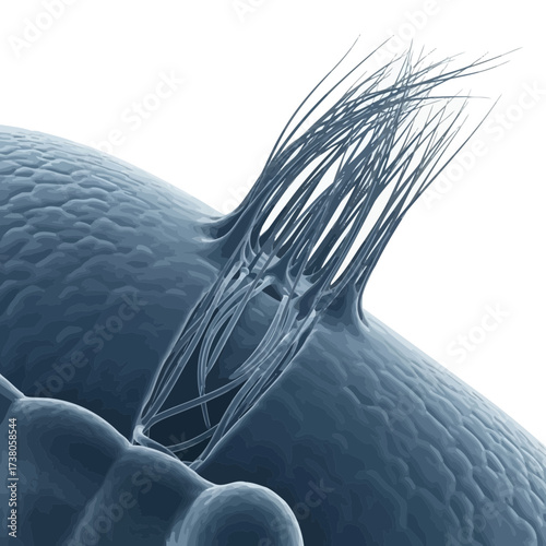 Molecular Detail: Tracheal Cilia Movement in High-Magnification Micrograph Style
