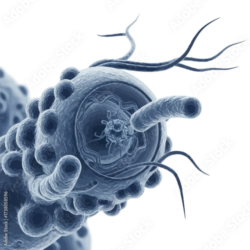 Cellular Art: Macrophage Engulfing Bacteria for Immunology Study