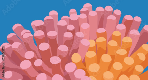 Abstract coral reef-like structures in vibrant pink and orange hues.
