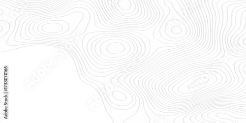 Terrain map contours vector grid geographic relief lines Topographic contour lines map seamless pattern.	
