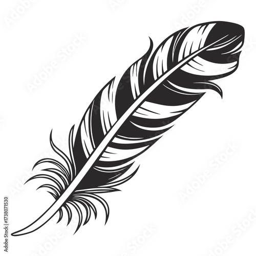 Detailed feather with intricate patterns