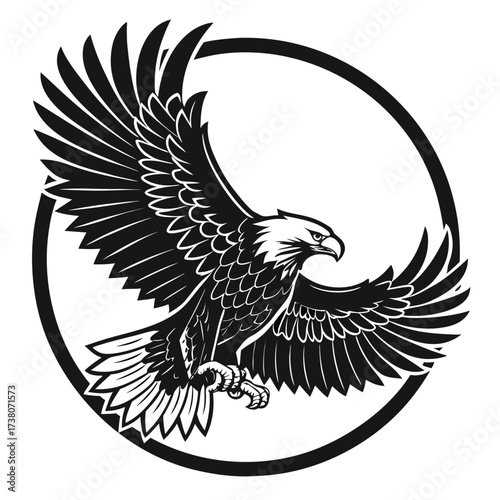 Eagle soaring in a circle, wings spread wide