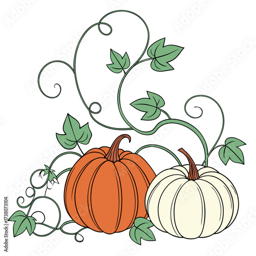Orange and white pumpkins with green twisting vines and leaves