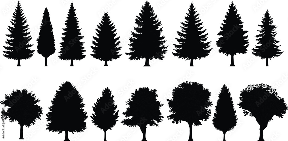 Fototapeta premium Silhouette collection of different tree species, including pine, spruce, oak, and deciduous trees, isolated on white background, natural forest illustration set, nature design