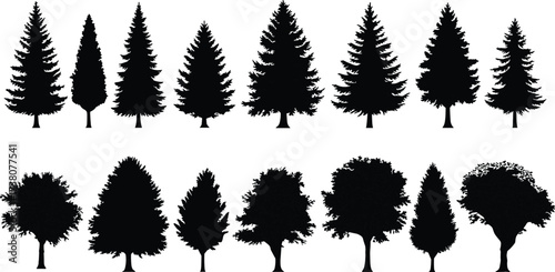 Silhouette collection of different tree species, including pine, spruce, oak, and deciduous trees, isolated on white background, natural forest illustration set, nature design