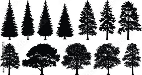 Silhouette collection of diverse tree species including pine, spruce, oak, and deciduous forest trees, isolated on white background, natural woodland illustration design set