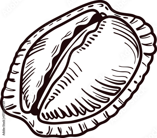 Hand drawn empanada illustration in vintage engraved isolated on white background