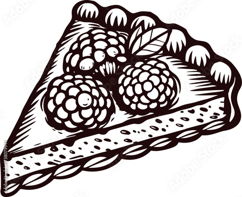 Hand drawn illustration of a raspberry tart slice with vintage engraving and detailed berry topping