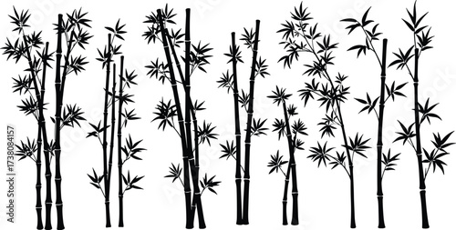 Silhouette illustration of bamboo trees with detailed leaves and stems, natural plant collection for decoration, Asian style design, nature element graphics