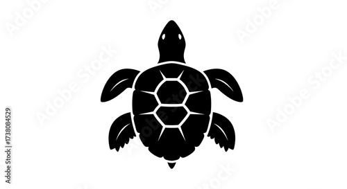 Black turtle silhouette on white background