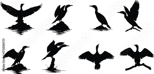 Silhouette of cormorant birds standing, spreading wings, perched on rocks and branches, black seabird vector illustration, coastal wildlife graphic design collection