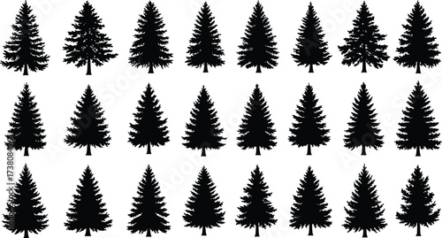 Silhouette of pine trees collection, multiple evergreen forest tree icons isolated on white background, natural woodland design, Christmas tree shapes, nature illustration set