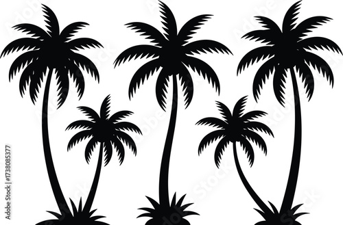 Silhouette of tropical palm trees isolated on white background, summer beach decoration, exotic jungle nature design, black palm tree vector illustration art