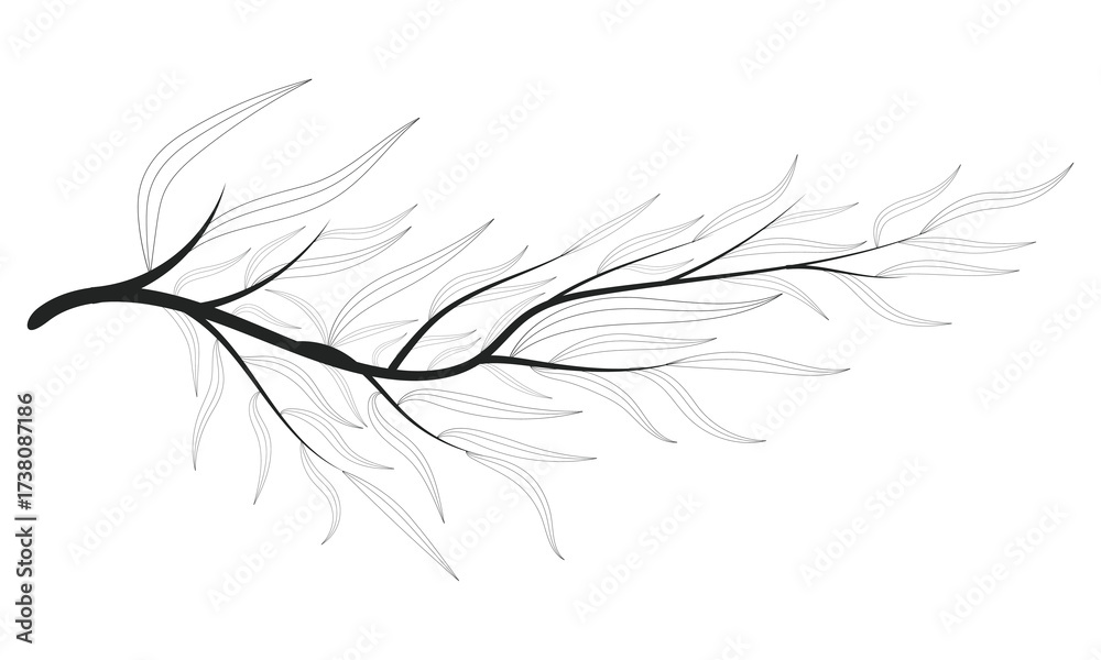 Fototapeta premium Doodle Petal Branch Summer Spring Tree Leafy Contour Decorative Illustrator Art