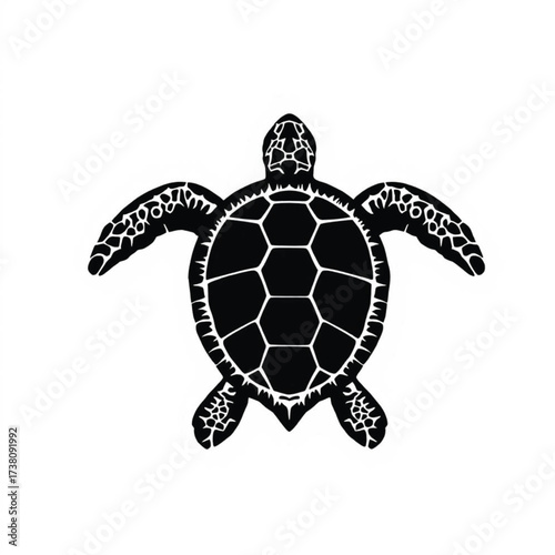 Sea turtle illustration — black and white stylized top view with hexagonal shell pattern and detailed flippers and head