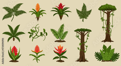 Collection of various illustrated tropical plants ferns and trees against a plain background