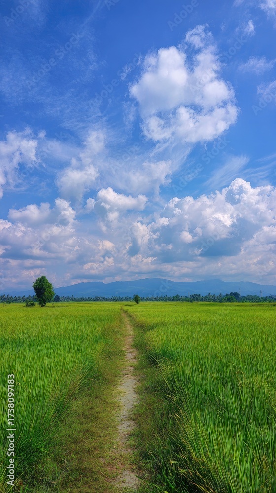 Obraz premium Serene path through a vibrant green field under a bright, cloudy sky