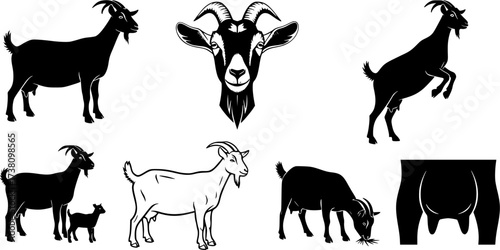  Saanen goat, Saanen goat silhouette, Dairy goat, Dairy goat silhouette, Goat, Goat silhouette