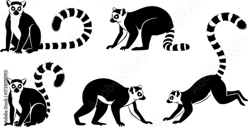 Lemur silhouette, Ring tailed lemur silhouette, Lemur silhouette Lemur, Ring tailed lemur, Lemur vector