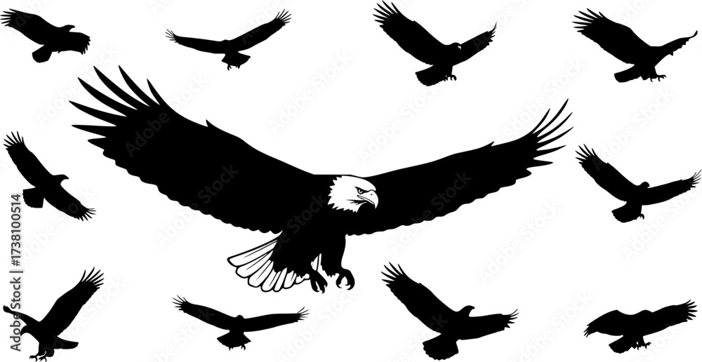 Obraz premium Eagle Silhouettes, Flying Eagle Silhouette, Bald Eagle Silhouette, Eagle , Eagle Vector Illustration 
