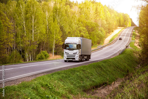 Wallpaper Mural A modern truck transports cargo along a country road against the backdrop of beautiful nature and forest. Freight exchange. Transport and logistics company. Sunny weather. Copy space for text Torontodigital.ca