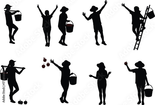 Apple picking person silhouettes, harvest basket poses, orchard activity, autumn farming, fruit collection, ladder climbing, seasonal agriculture, vector set, black icons