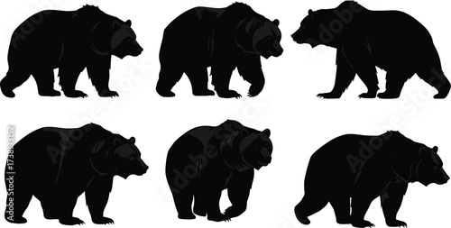 Collection of bear silhouette vector illustrations showing walking poses, wildlife animal movement, forest predator design, nature art for decoration
