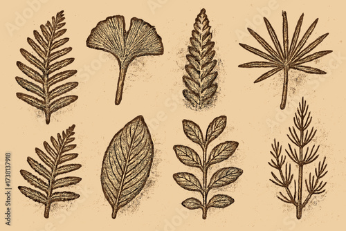 Collection of graphic prehistoric plant imprints on vintage paper texture. Engraving style fossil leaves. Vector illustration set for botanical, paleontology, or historical design.