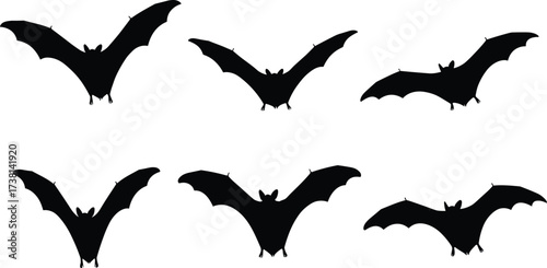 Set of flying bat silhouettes in various wing positions isolated on white background, perfect for Halloween, spooky, nocturnal animal themes