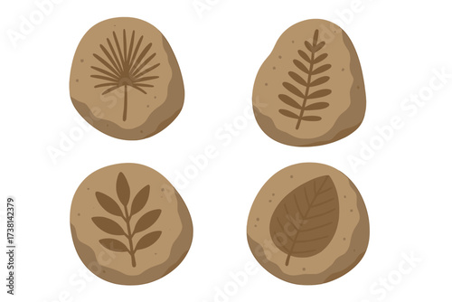 Prehistoric botanicals fossil set. Paleobotany leaves print on stones. Archaeological and paleontology finds. Ancient plant imprints from excavation. Flat vector illustration.