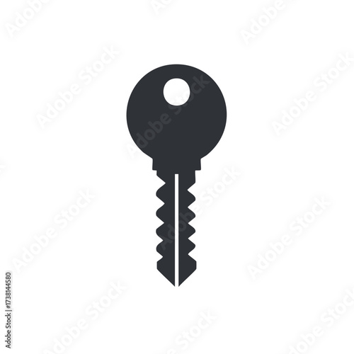 Single Key in Dark Gray Isolated on White Security and Access Icon