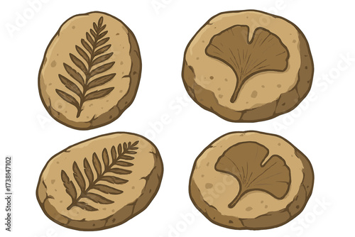 Fossil leaf of ancient plant vector illustration set. Archeology icon with prehistoric flora fossils. Stone with fern and ginkgo imprints. Historic museum evolution art.