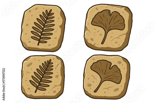 Fossil leaf set of ancient plants. Archeology vector icons. Prehistoric flora fossil. Evolution illustration. Stone with fern, ginkgo imprints. Historic museum art.
