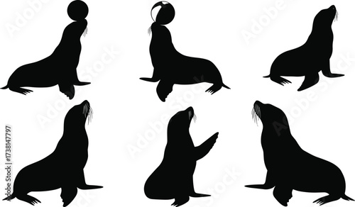 Set of sea lion silhouette vector illustrations balancing balls on noses, circus animal performance, marine wildlife art design collection