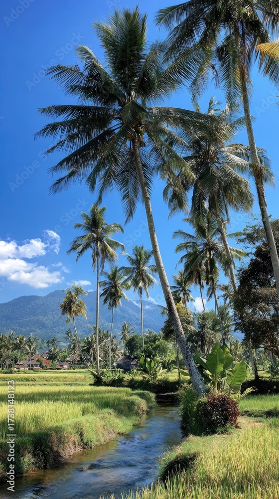 Obraz premium Tropical scene Palm trees, rice fields, river, & mountain under blue sky
