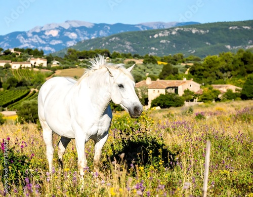 White horse in a meadow with mountains
