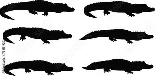 Set of six crocodile and alligator black silhouettes in different poses, reptile wildlife vector illustration for nature, zoo, and education design