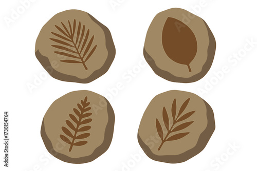 Prehistoric botanicals fossil set. Paleobotany leaves print on stones isolated on white. Archaeological and paleontology finds. Flat vector illustration collection of icons.