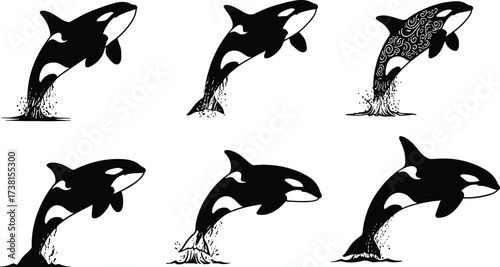 Set of stylized orca whale silhouettes leaping with splashes, decorative patterns, black and white marine animal vector for ocean wildlife themes
