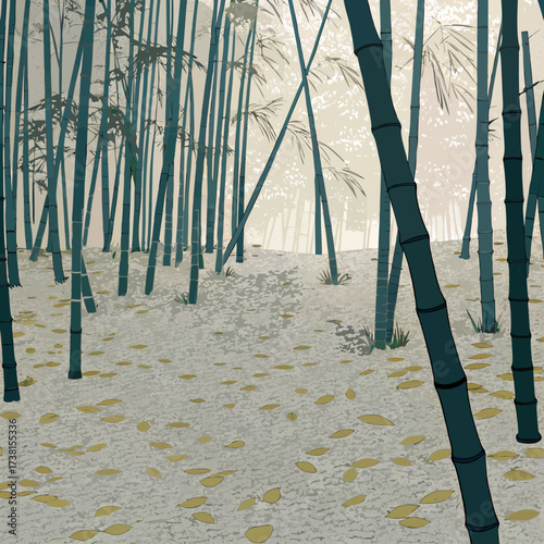 Bamboo forest landscapes 