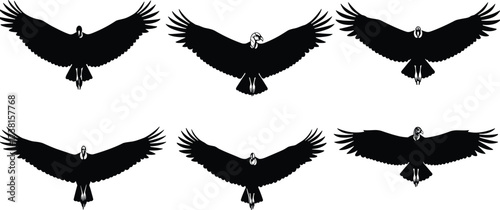 Silhouette collection of flying vultures and condors with wings spread, black vector illustration for wildlife, predator bird, nature, decoration, design
