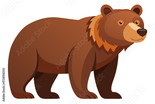 brown bear vector