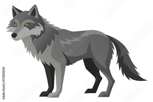 wolf isolated on white