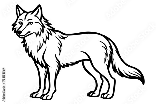 sketch of a wolf 