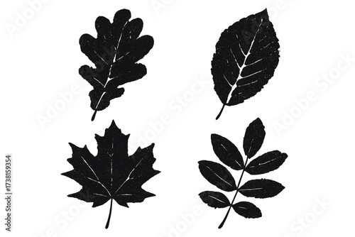 Stylized grunge halftone autumn leaves vector set, black forest foliage, oak, maple, ash, birch silhouette, textured stamp effect illustration, retro print design elements, transparent background