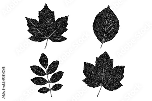 Halftone Dotted Leaf Stamps Set. Grunge Stylized Black Autumn Forest Leaves. Maple, Ash, Elm Shape Vector Design Elements. Isolated Transparent Background Botanical Nature Illustration