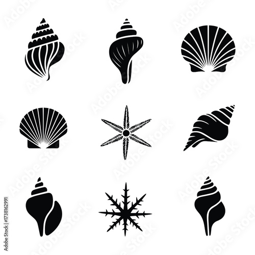 set of black silhouettes of shells